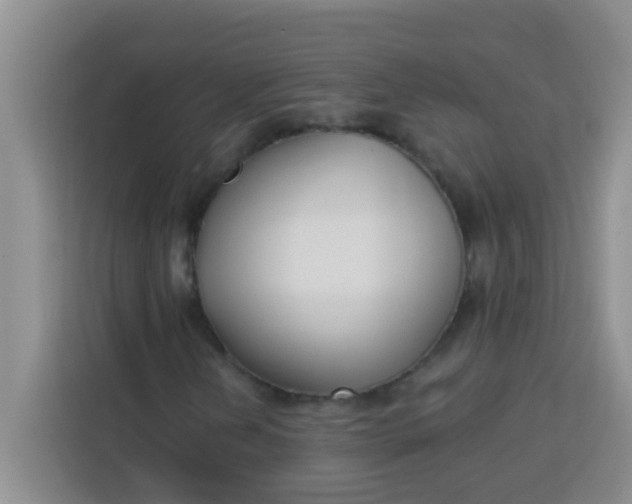 X0000113741202200910071039