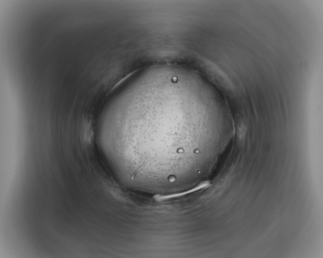 X0000113741204200910071039