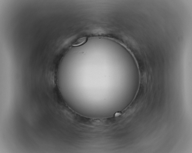 X0000113741205200910071039