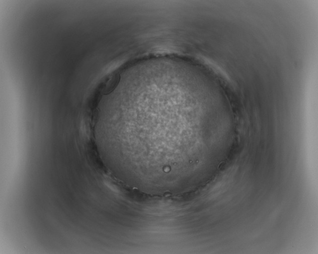 X0000113741207200910071039