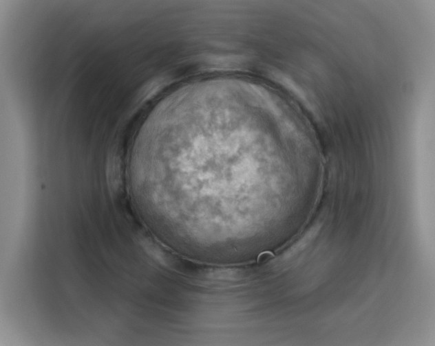 X0000113741211200910071039