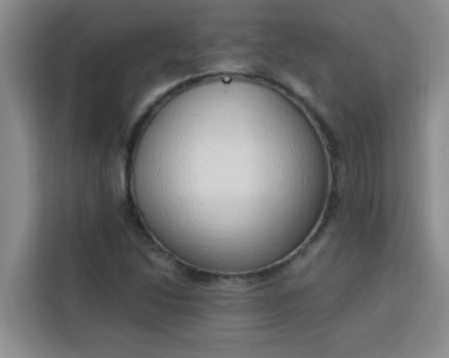 X0000113741214200910071039