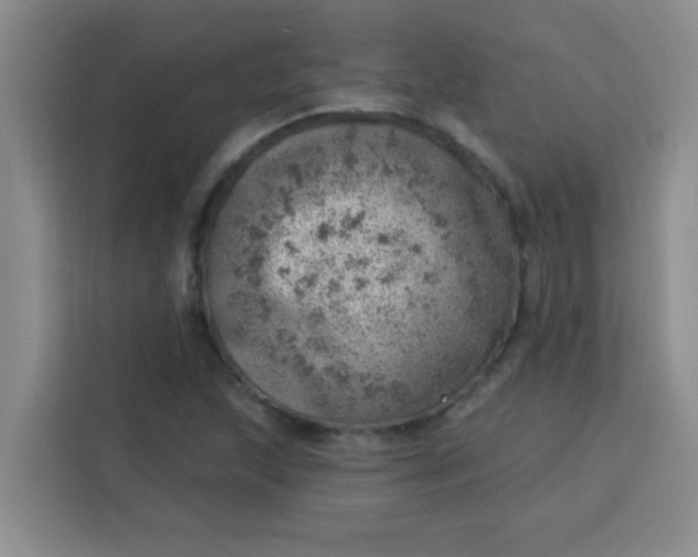 X0000113741215200910071039