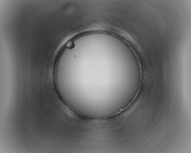 X0000113741216200910071039