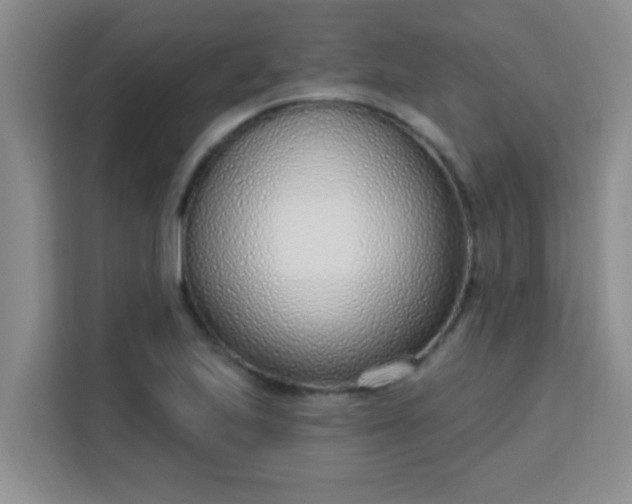 X0000113741223200910071039