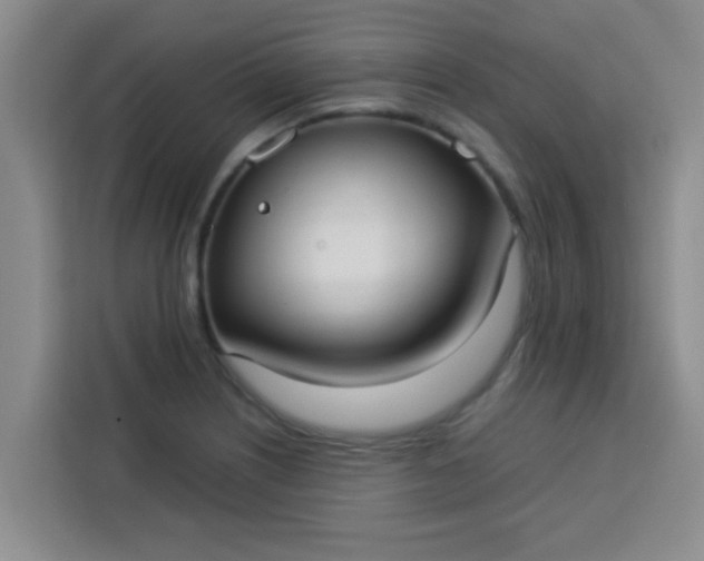 X0000113741226200910071039