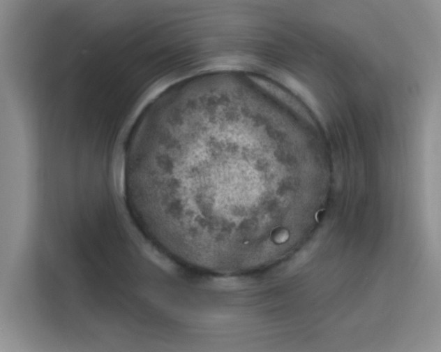 X0000113741227200910071039