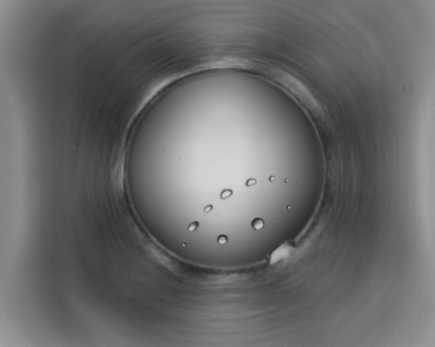 X0000113741228200910071039