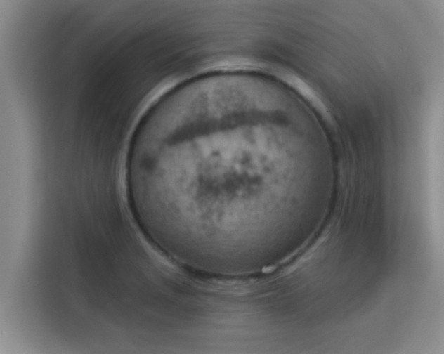 X0000113741229200910071039