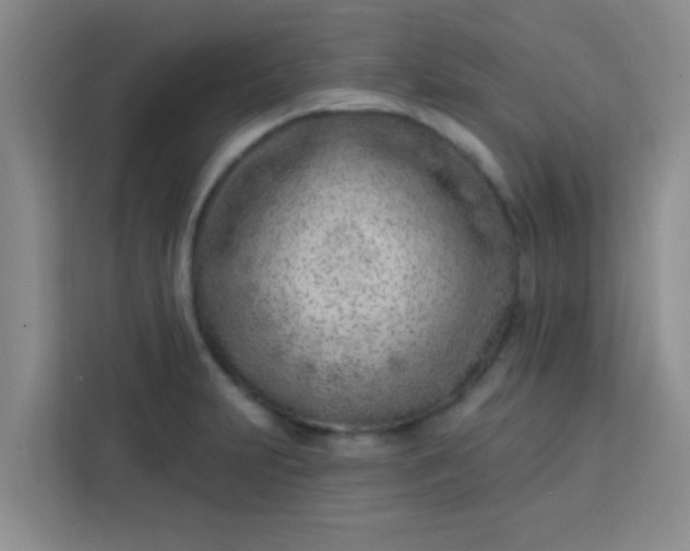 X0000113741231200910071039