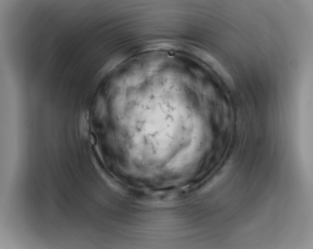 X0000113741233200910071039