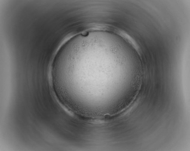 X0000113741235200910071039