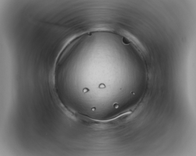 X0000113741236200910071039