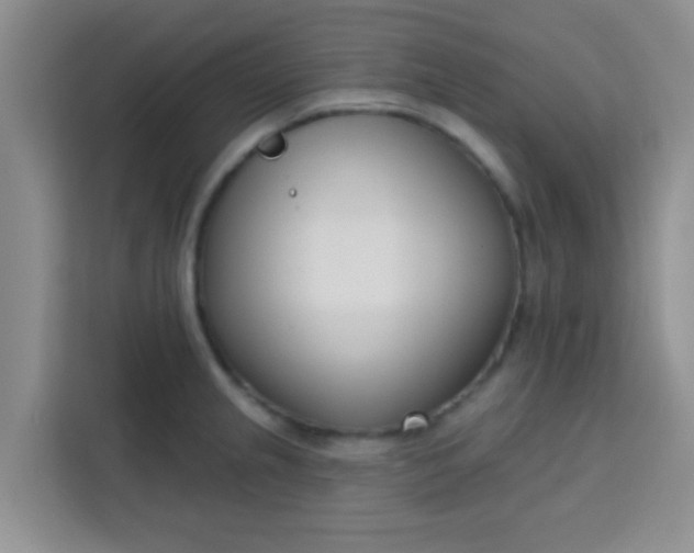 X0000113741237200910071039