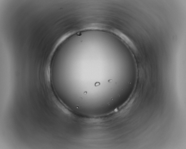 X0000113741238200910071039