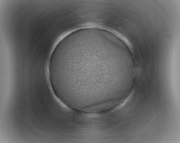 X0000113741239200910071039