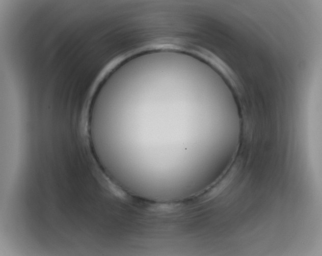 X0000113741240200910071039