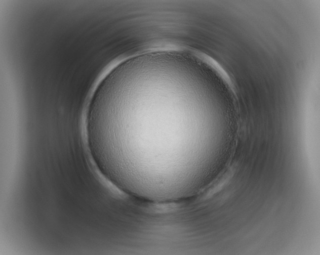 X0000113741243200910071039