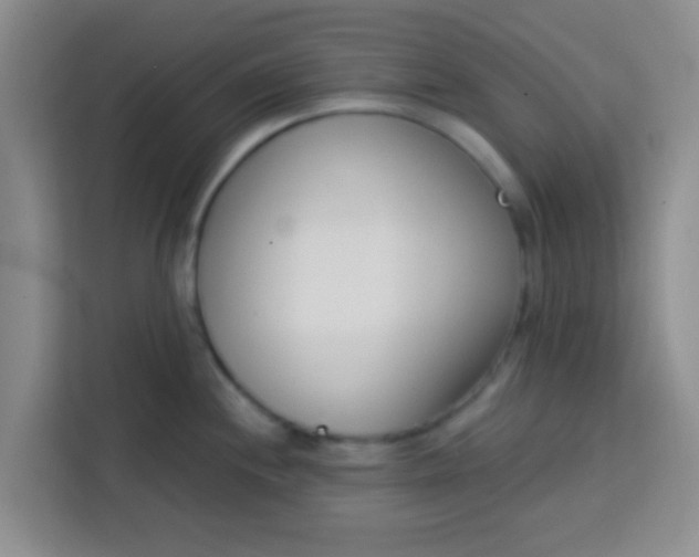 X0000113741244200910071039