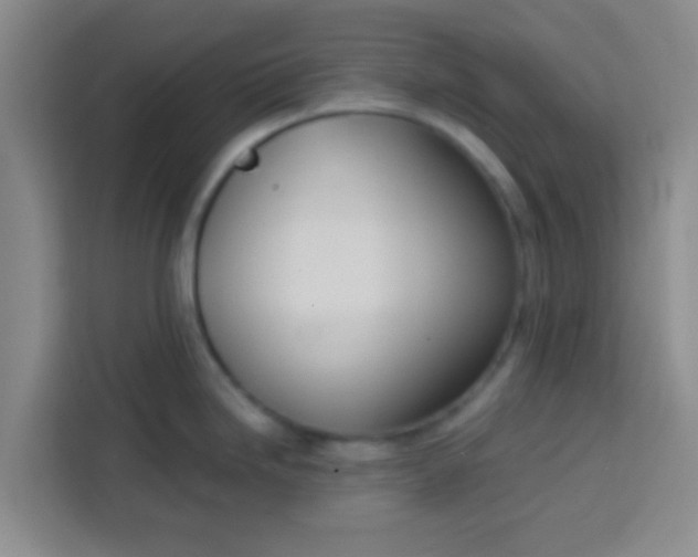 X0000113741246200910071040