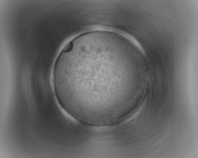 X0000113741247200910071040