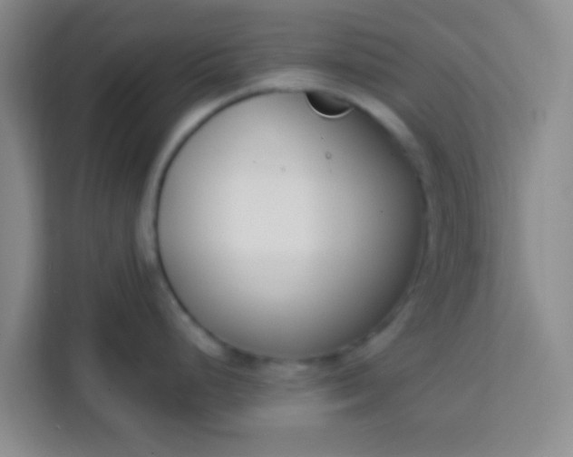 X0000113741248200910071040