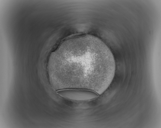 X0000113741249200910071039