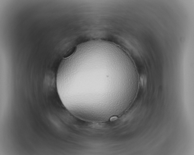 X0000113741251200910071039