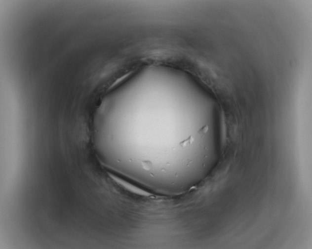 X0000113741253200910071039