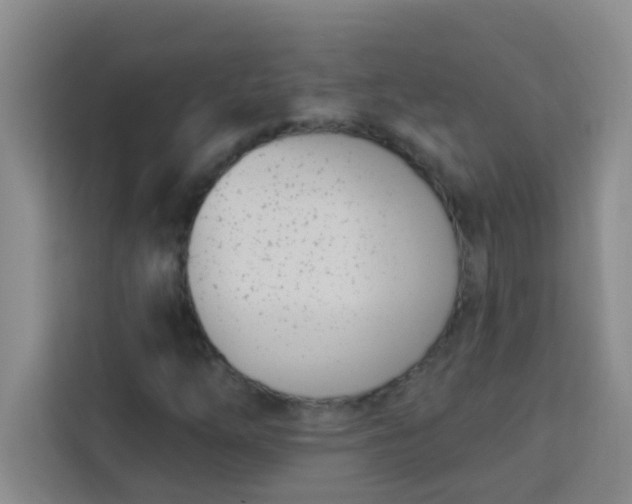 X0000113741254200910071039