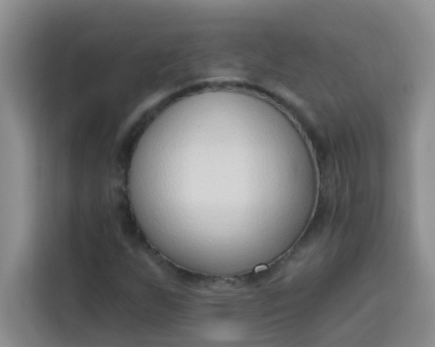 X0000113741255200910071039