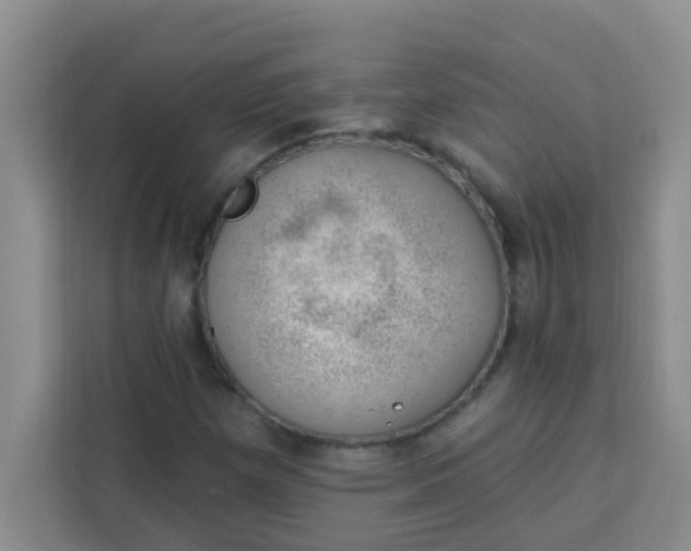 X0000113741257200910071039