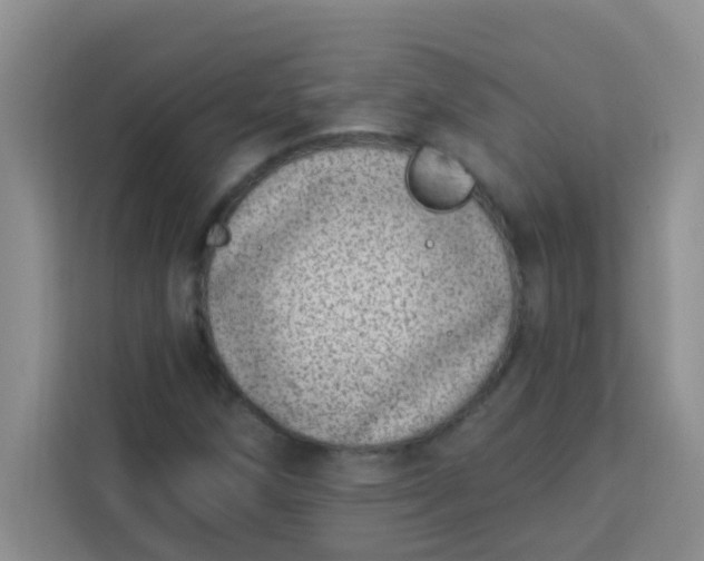 X0000113741258200910071039