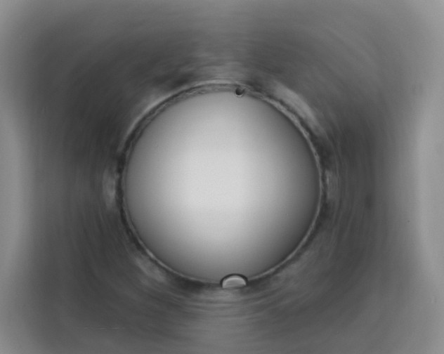 X0000113741260200910071039