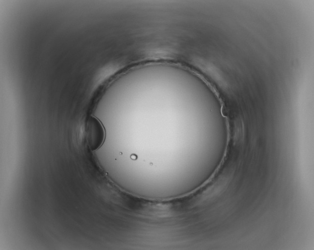 X0000113741261200910071039