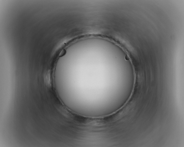 X0000113741262200910071039