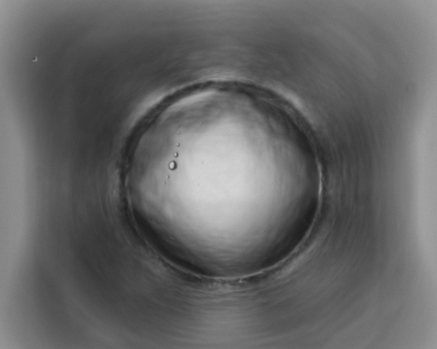 X0000113741263200910071039