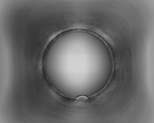 X0000113741264200910071039