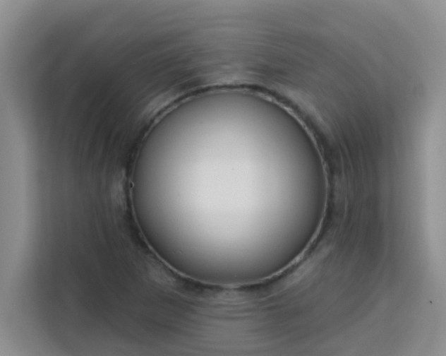 X0000113741265200910071039