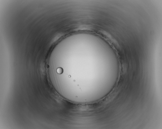 X0000113741266200910071039