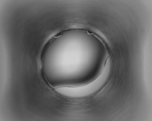 X0000113741269200910071039