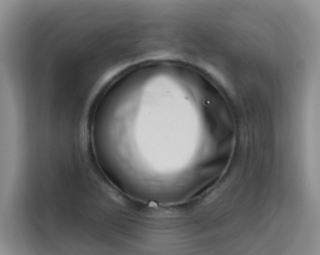 X0000113741270200910071039