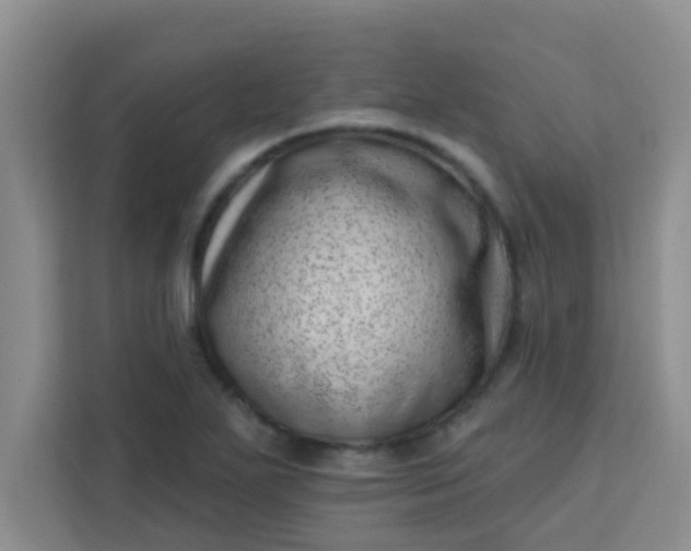 X0000113741271200910071039