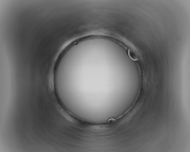 X0000113741272200910071039