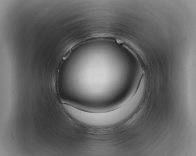 X0000113741273200910071039