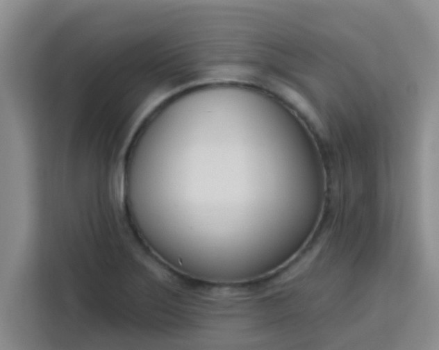 X0000113741275200910071039