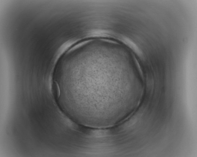 X0000113741277200910071039