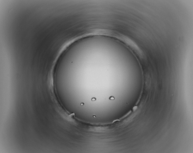 X0000113741280200910071039