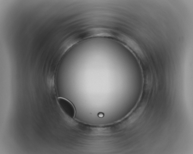 X0000113741281200910071039