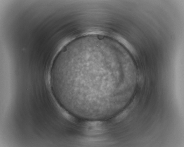 X0000113741282200910071038